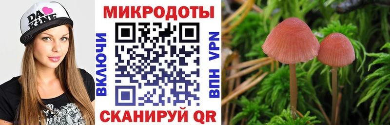 Купить закладки  Багратионовск  Галлюциногенные грибы MAGIC MUSHROOMS 