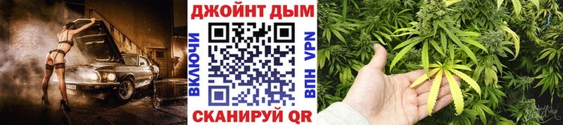 Купить закладки  Багратионовск  Шишки марихуана THC 21% 